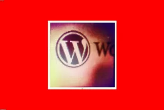 WordPress.com vs WordPress.org: Bạn nên chọn loại nào?